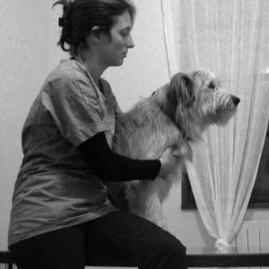 veterinaire osteopathe canin